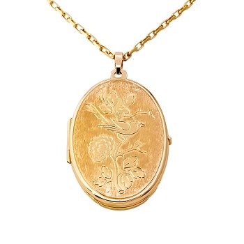9ct Gold 8.5g 20 inch Locket with Chain